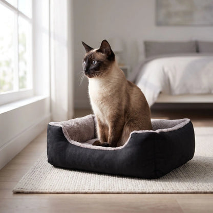 Panier pour chat | Nestly™