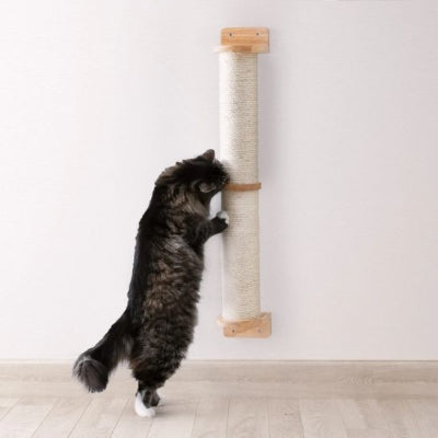 chat adosse sur griffoir pour chat