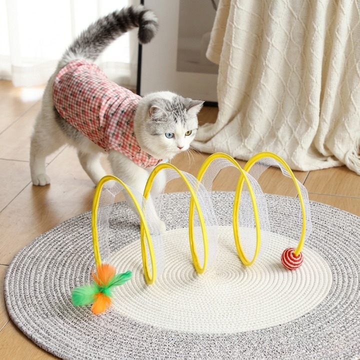chat approchant pour jouer avec son jouet pour chat