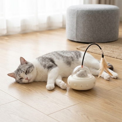 chat allongé près de son jouet pour chat