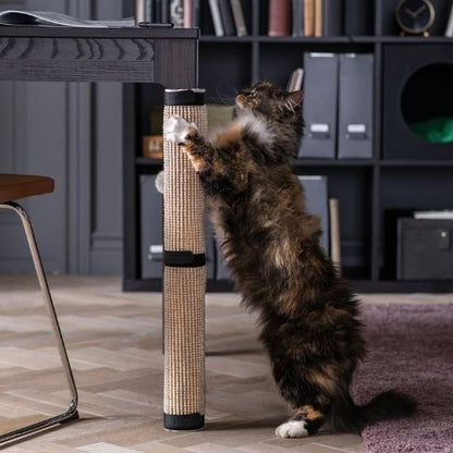 chat debout sur son griffoir pour chat