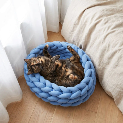 Panier chat bleu avec chat écaille qui se roule