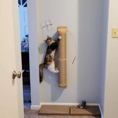 chat escalade griffoir pour chat