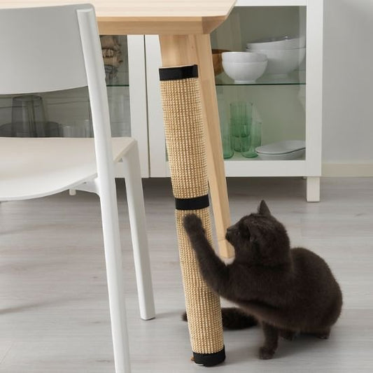 Chat essayant son nouveau griffoir pour chat