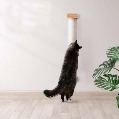 chat faisant griffes sur griffoir pour chat