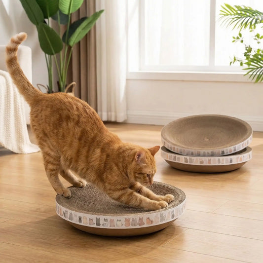 chat qui se fait les griffes sur son griffoir pour chat