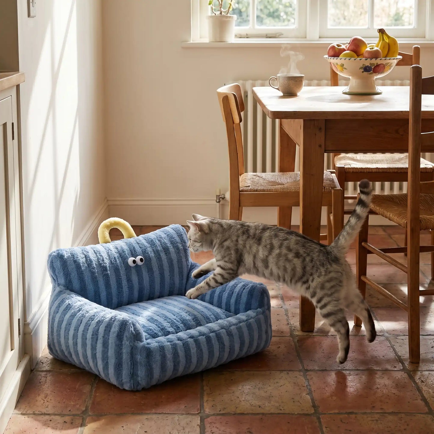 Panier pour chat avec chat gris marchant en cuisine