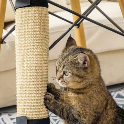 Chat heureux de son griffoir pour chat