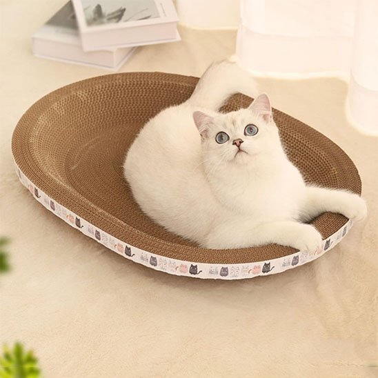 chat heureux dans son griffoir en carton pour chat 