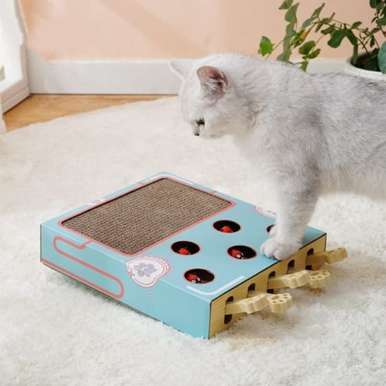 Chat jovial sur son griffoir pour chat