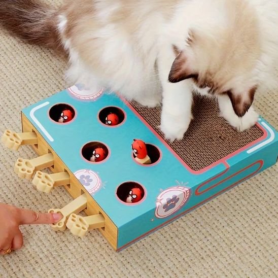 Chat joyeux sur son griffoir pour chat