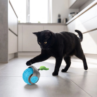Chat noir au poil court donnant un coup de patte sur son jouet interactif pour chat