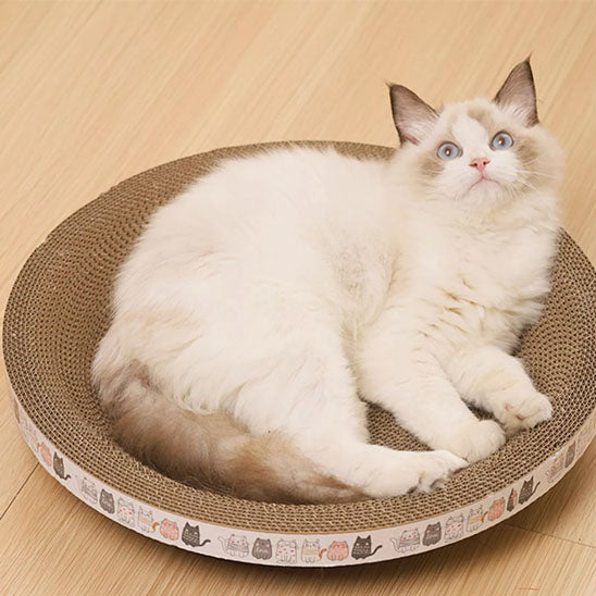 chat qui se repose sur son griffoir pour chat