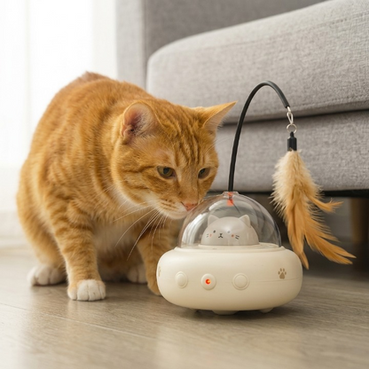 chat roux inspectant de près son jouet pour chat