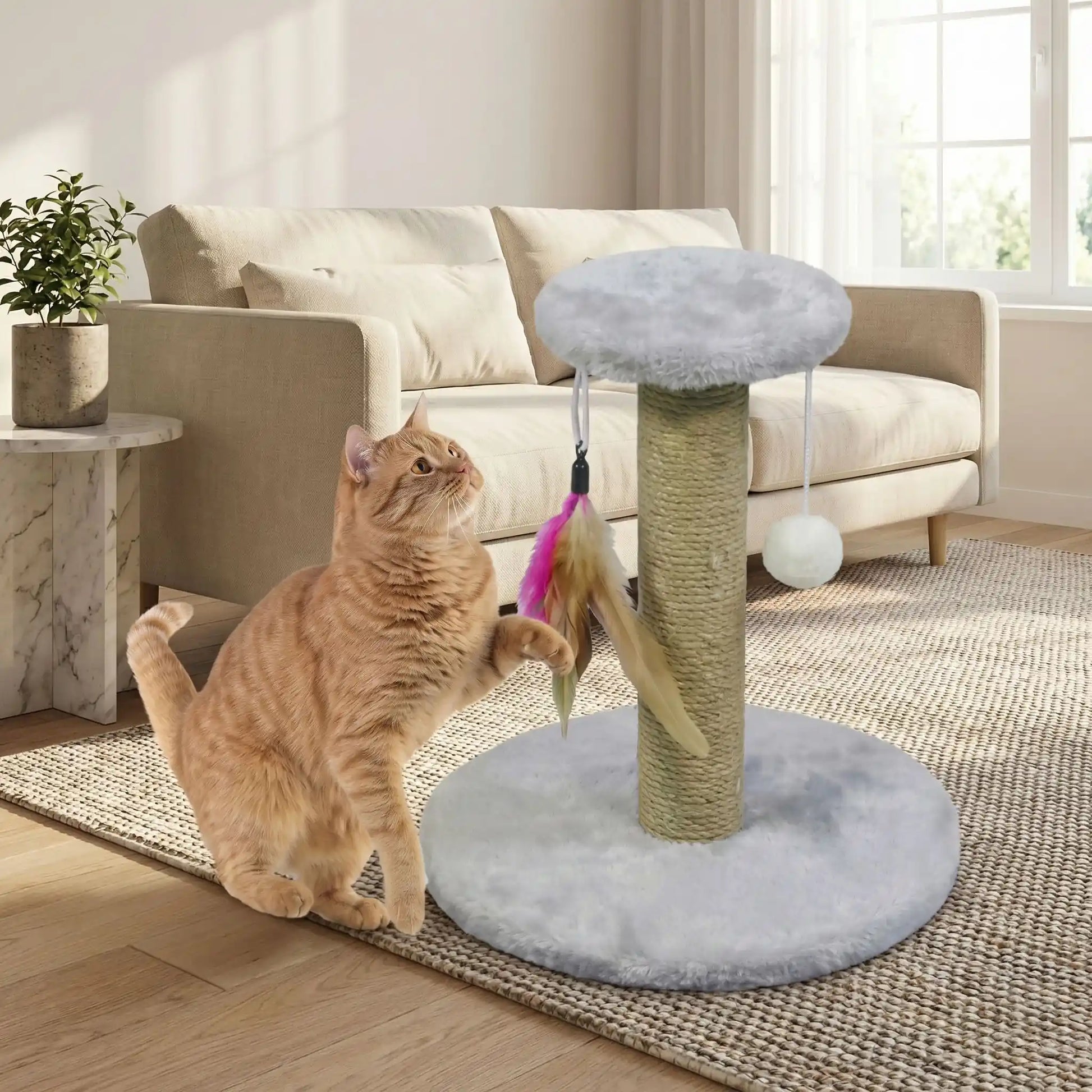 chat roux grattoir pour chat gris plumes salon