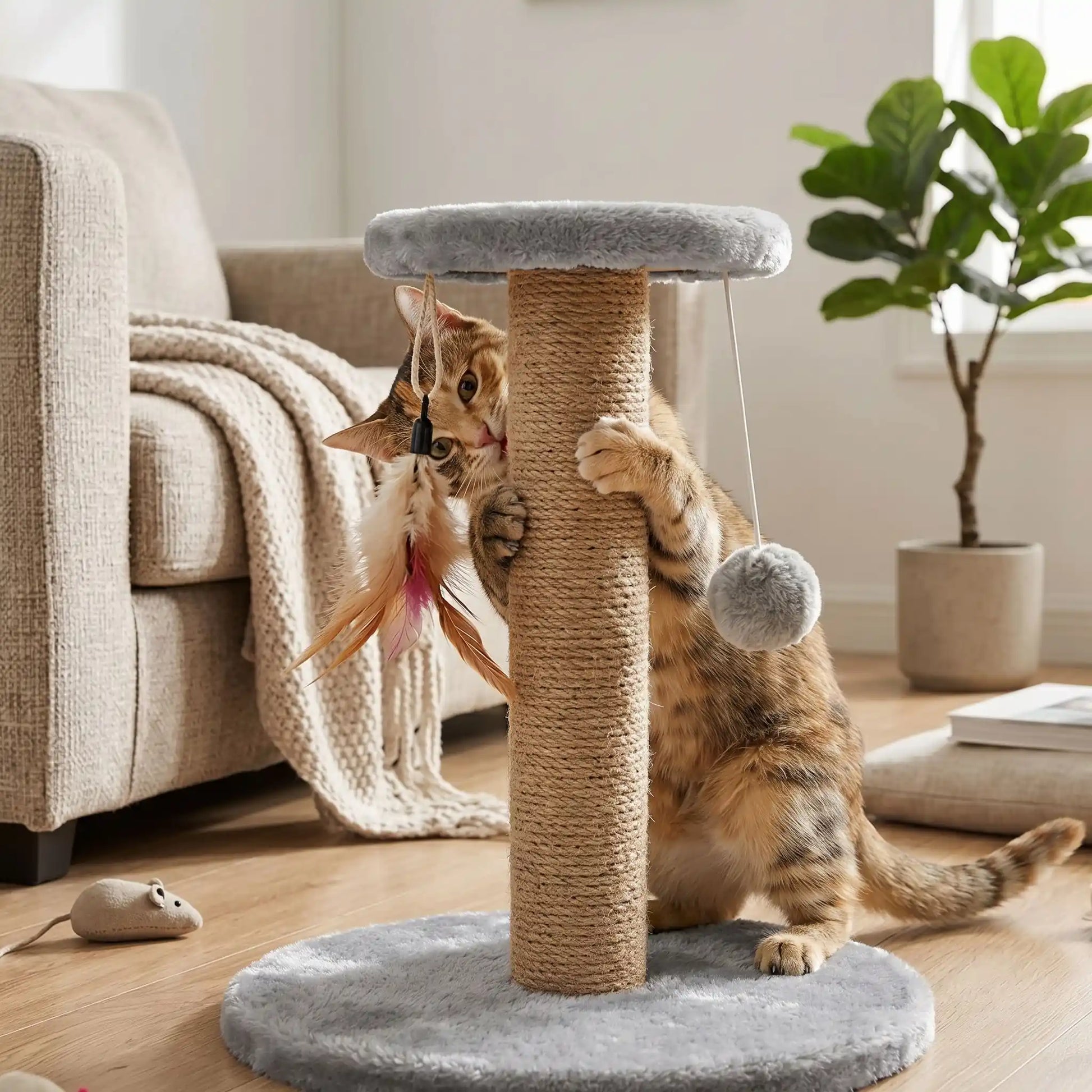 chat roux grattoir pour chat plumes avec pompon dans salon
