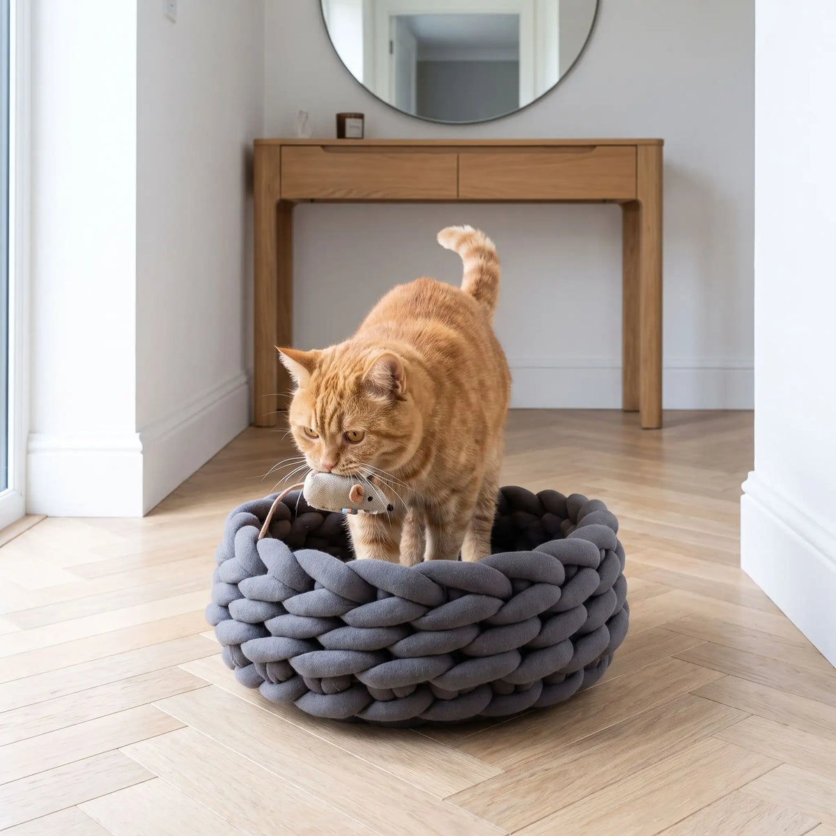 Panier chat gris foncé avec chat roux qui rapporte