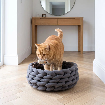 Panier chat gris foncé avec chat roux qui rapporte
