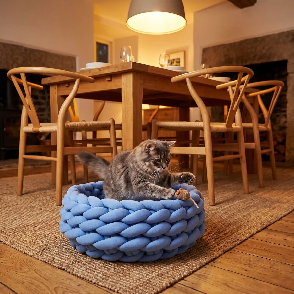 Panier chat bleu avec chat tigré qui chasse