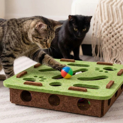 chaton découvrant pour la première fois son jouet pour chat