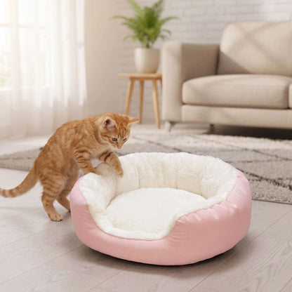 Panier pour chat rose avec chaton roux qui touche