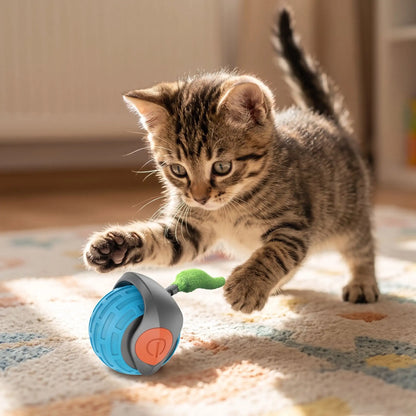 Chaton tigré brun curieux s'élançant vers son jouet interactif pour chat