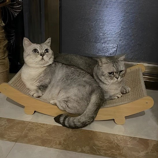chats joyeux sur leur grattoir pour chat