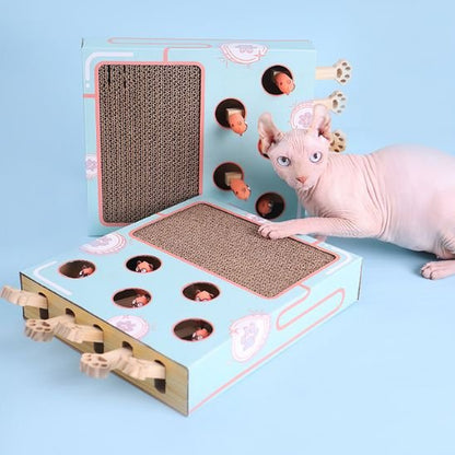 Chat sur griffoir pour chat multifonction