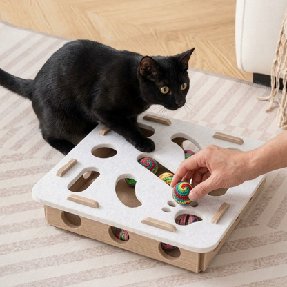 main humaine et chat noir curieux devant leur jouet pour chat